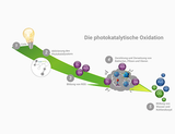 PURE WALL  Sprühdose 500ml